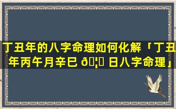 丁丑年的八字命理如何化解「丁丑年丙午月辛巳 🦍 日八字命理」